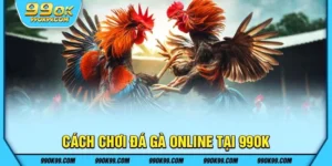 Cách chơi đá gà 99ok