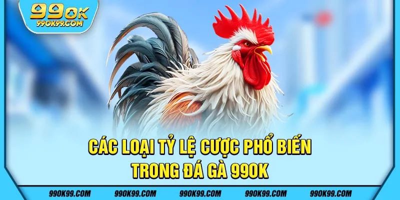 Các loại tỷ lệ cược phổ biến trong đá gà 99ok