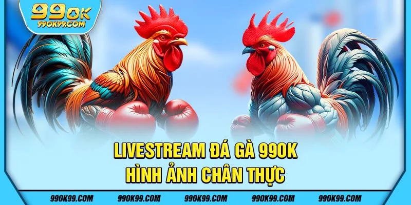 Livestream đá gà 99ok - Hình ảnh chân thực