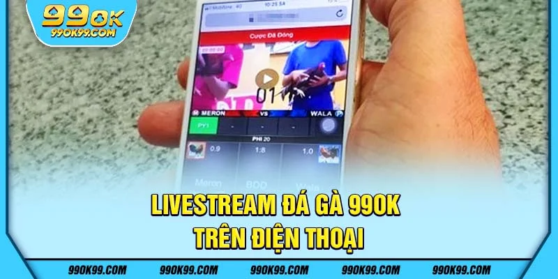 Livestream đá gà 99ok trên điện thoại