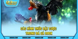 Các hình thức đặt cược trong đá gà 99ok