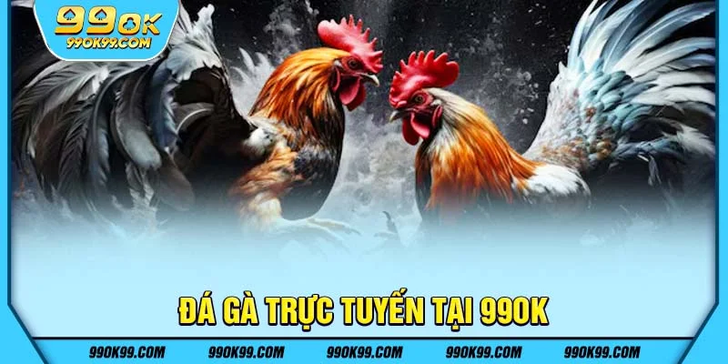 Đá gà trực tuyến tại 99ok