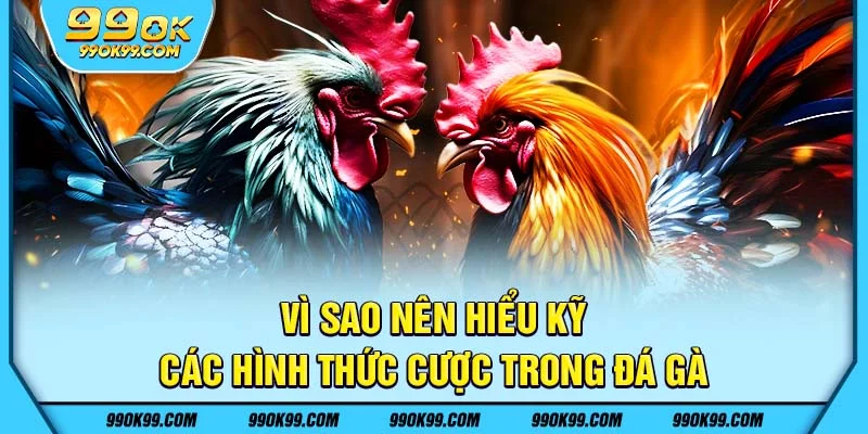 Vì sao nên hiểu kỹ Các hình thức cược trong đá gà