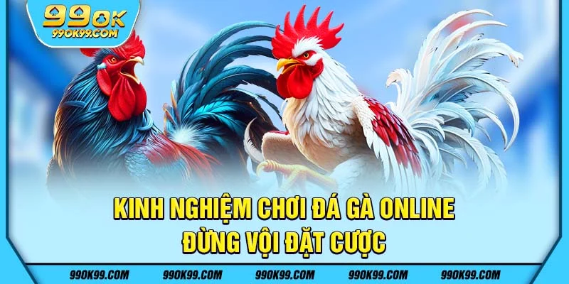 Kinh nghiệm chơi đá gà 99ok- Đừng vội đặt cược