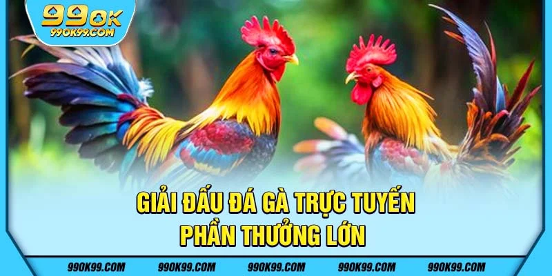 giải đấu đá gà trực tuyến - phần thưởng lớn 