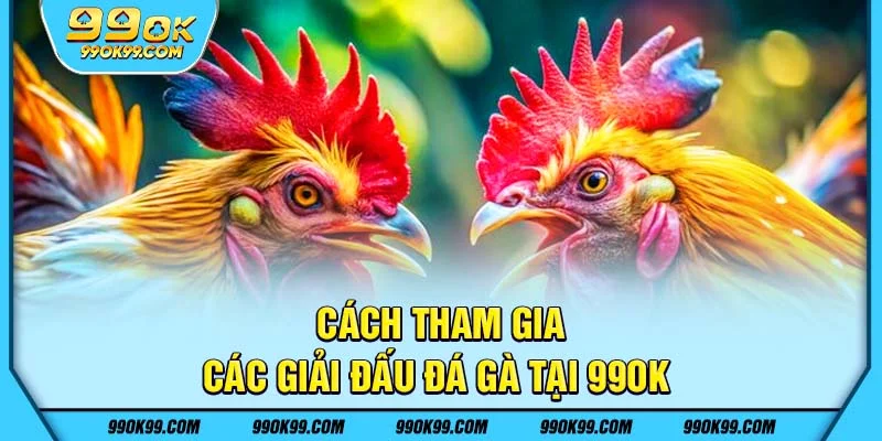 Cách tham gia các giải đấu đá gà 99ok
