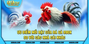 Ưu điểm nổi bật của đá gà 99ok so với các nhà cái khác