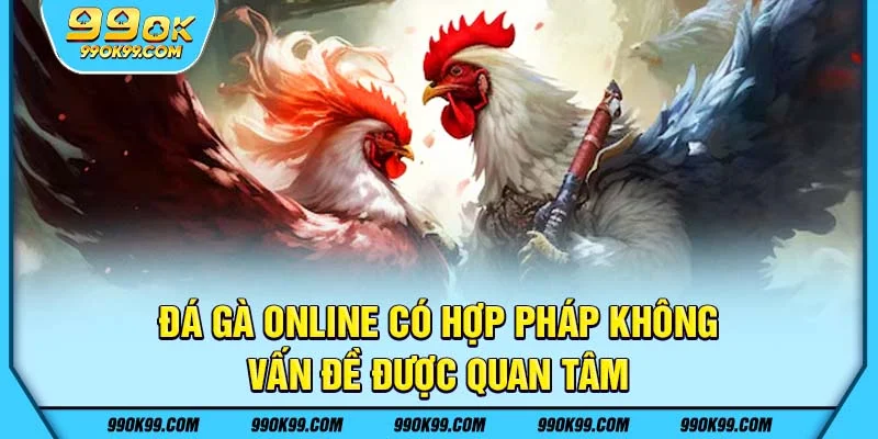 Đá gà online hợp pháp không - Vấn đề được quan tâm
