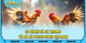 So sánh đá gà Thomo và đá gà Philippines tại 99ok