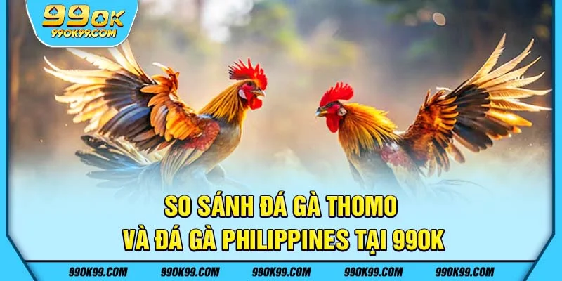 So sánh đá gà Thomo và đá gà Philippines tại 99ok